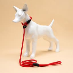 Ринговка для собак, 130×0.8 см, красная