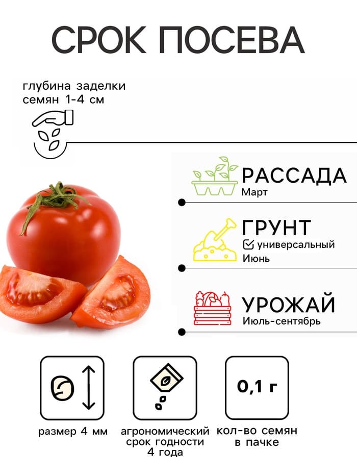Семена Томат балконный «Хурма», детерминантный, среднерослый 0.1 г, «Евро-семена»