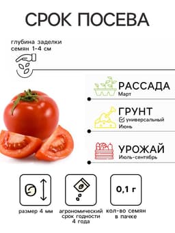 Семена Томат балконный «Хурма», детерминантный, среднерослый 0.1 г, «Евро-семена»