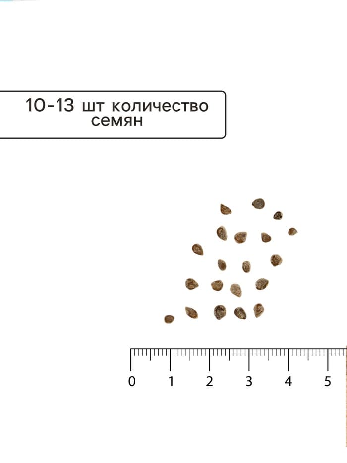 Семена Томат балконный «Хурма», детерминантный, среднерослый 0.1 г, «Евро-семена»