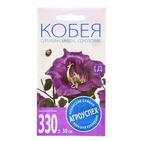 Семена цветов Кобея «Сиреневая Сканденс», 4 шт.