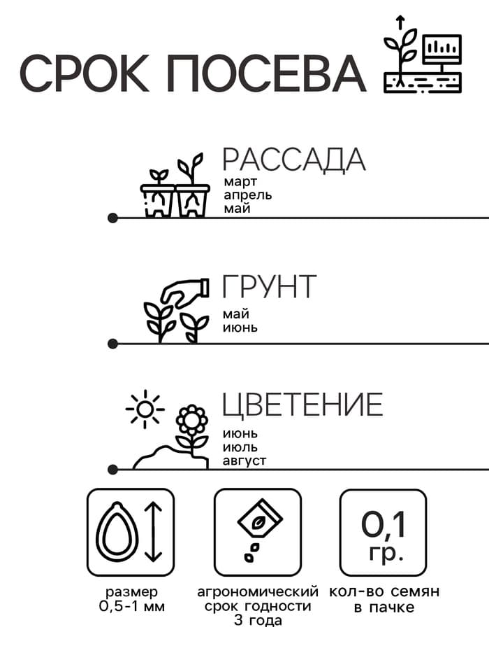 Семена цветов Незабудка «Голубые глазки», многолетник, 0.1 г, «Агроуспех»
