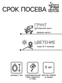 Семена цветов Эустома Эхо Йеллоу желтая, драже, 5 шт