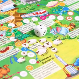 Настольная игра ГЕОДОМ «Путешествие по России»