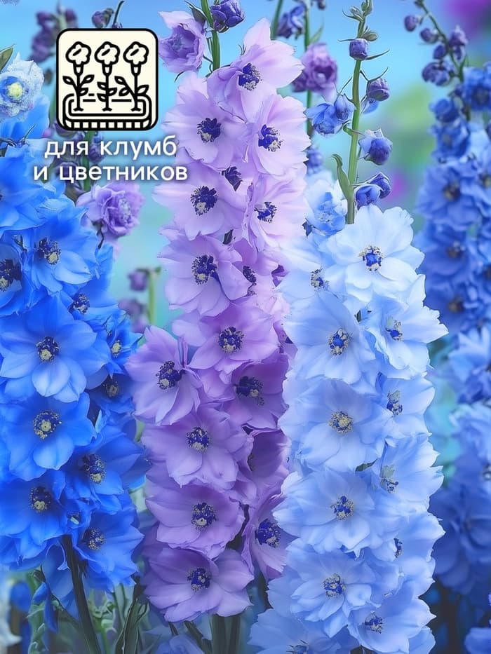 Семена цветов Дельфиниум «Гроздь Сапфиров», 0.1 г