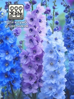 Семена цветов Дельфиниум «Гроздь Сапфиров», 0.1 г
