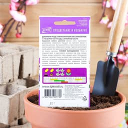 Семена цветов Дельфиниум «Гроздь Сапфиров», 0.1 г