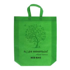 Пакет с петлевой ручкой «Эко», 44×42×10 см, салатовый
