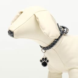 Адресник под гравировку «Лапа», 2.5×2.5 см, фасовка по 6 шт., металл, цвет МИКС