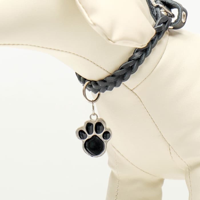 Адресник под гравировку «Лапа», 2.5×2.5 см, фасовка по 6 шт., металл, цвет МИКС