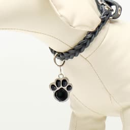 Адресник под гравировку «Лапа», 2.5×2.5 см, фасовка по 6 шт., металл, цвет МИКС