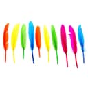 Набор перьев для декора 10 шт., размер 1 шт.: 15×1.5 см, МИКС