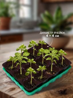 Набор для рассады: торфяная таблетка d=4.1 см, 12 шт., кассета на 12 ячеек по 40 мл, поддон 20.5×17 см, зелёный, пластик, Экоторф