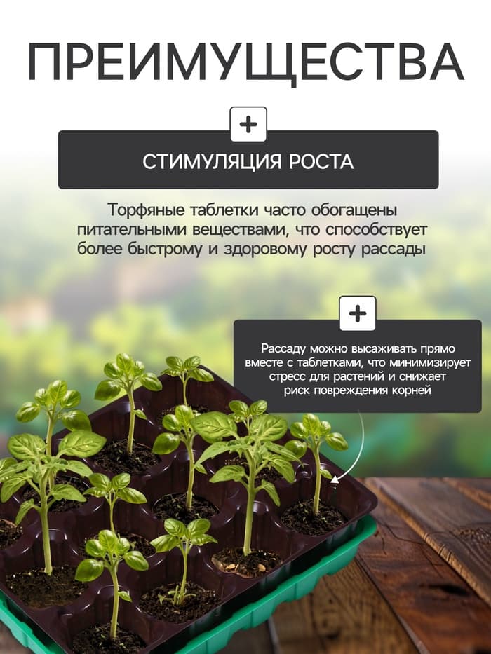 Набор для рассады: торфяная таблетка d=4.1 см, 12 шт., кассета на 12 ячеек по 40 мл, поддон 20.5×17 см, зелёный, пластик, Экоторф