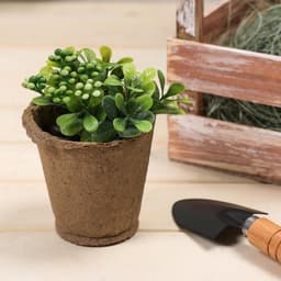 Горшок для рассады, 175 мл, d=8 см, h=8 см, торф, набор 20 шт., Greengo