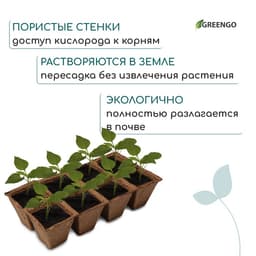Кассета для рассады, 30×15×8 см, 8 ячеек по 150 мл, 6×6 см, торф, набор 3 шт.