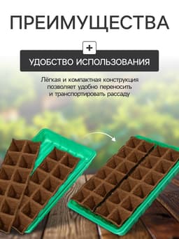 Набор для рассады: торфяная кассета, 24 ячейки по 50 мл, поддон 31×20 см, зелёный, пластик, Экоторф