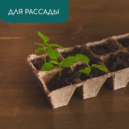 Кассета для рассады, 30×15×8 см, 8 ячеек по 150 мл, торф, 6×6 см