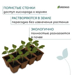 Кассета для рассады, 30×15×8 см, 8 ячеек по 150 мл, торф, 6×6 см