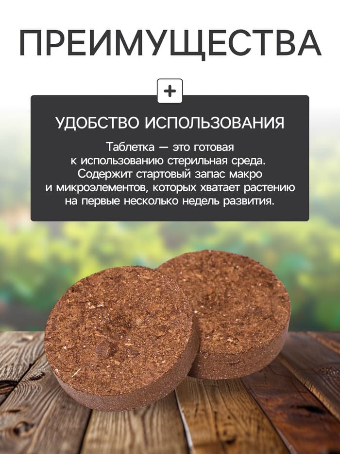 Набор для рассады: торфяная таблетка d=5.5 см, 15 шт., кассета на 15 ячеек по 150 мл, поддон 35×22 см, зелёный, пластик, Экоторф