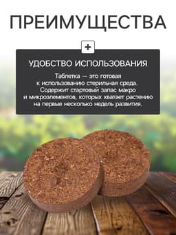Набор для рассады: торфяная таблетка d=5.5 см, 15 шт., кассета на 15 ячеек по 150 мл, поддон 35×22 см, зелёный, пластик, Экоторф