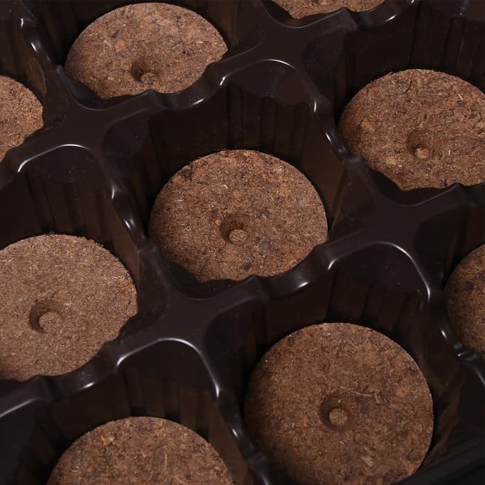 Набор для рассады: торфяная таблетка d=5.5 см, 15 шт., кассета на 15 ячеек по 150 мл, поддон 35×22 см, зелёный, пластик, Экоторф