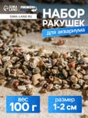 Набор ракушек Умбониум Вестериум, 100 г