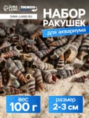 Набор ракушек Батиллярия, 100 г