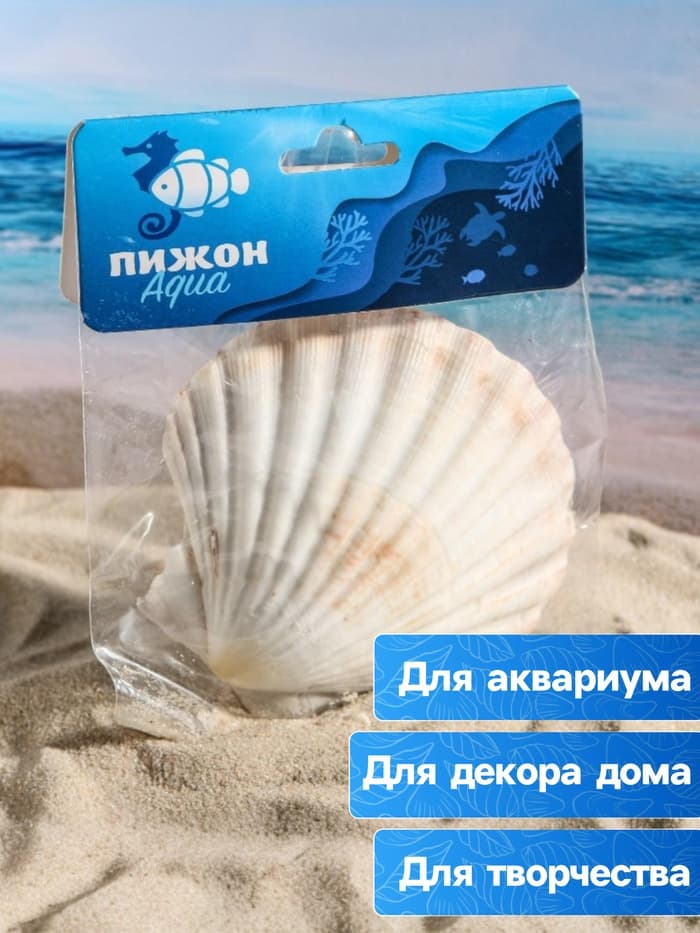 Ракушка декоративная Гребешок, 10-12 см