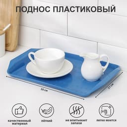 Поднос Петропласт «Дональд», 30×21 см, пластик, МИКС