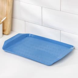 Поднос Петропласт «Дональд», 30×21 см, пластик, МИКС