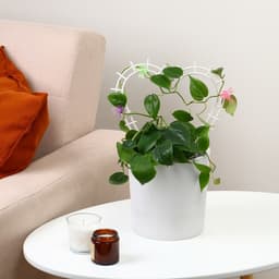 Шпалера, 29×27×0.3 см, пластик, цвет МИКС, «Сердечко»