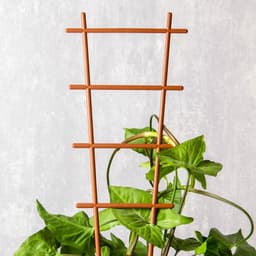 Шпалера, 56×19×0.5 см, пластик, цвет МИКС, «Лесенка»