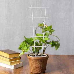 Шпалера, 56×19×0.5 см, пластик, цвет МИКС, «Лесенка»