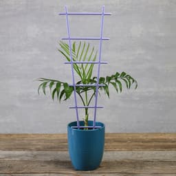 Шпалера, 56×19×0.5 см, пластик, цвет МИКС, «Лесенка»