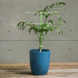 Поддержка для растений, h=42 см, цвет МИКС