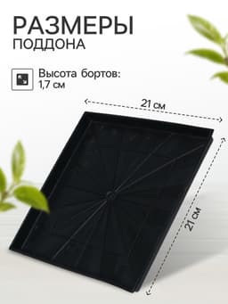 Поддон для рассады, 21×21×1.7 см, пластик, чёрный