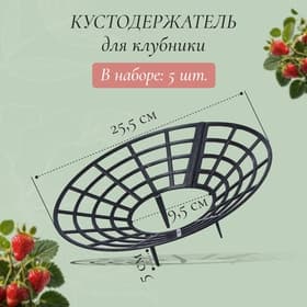 Подставка для клубники, пластиковая, d=25.5 см, чёрная, набор 5 шт.