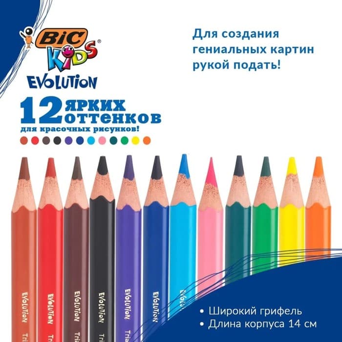 Карандаши цветные 12 цветов, детские, утолщённые, трёхгранные, BIC Kids Evolution Triangle, пластиковые, премиум, картонная упаковка