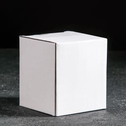 Кружка с двойными стенками, 300 мл, стекло, прозрачная