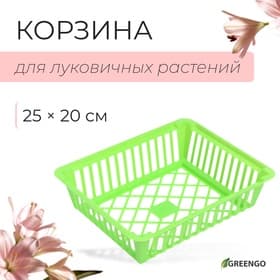 Корзина для луковичных, квадратная, 25×20 см, зелёная, Greengo