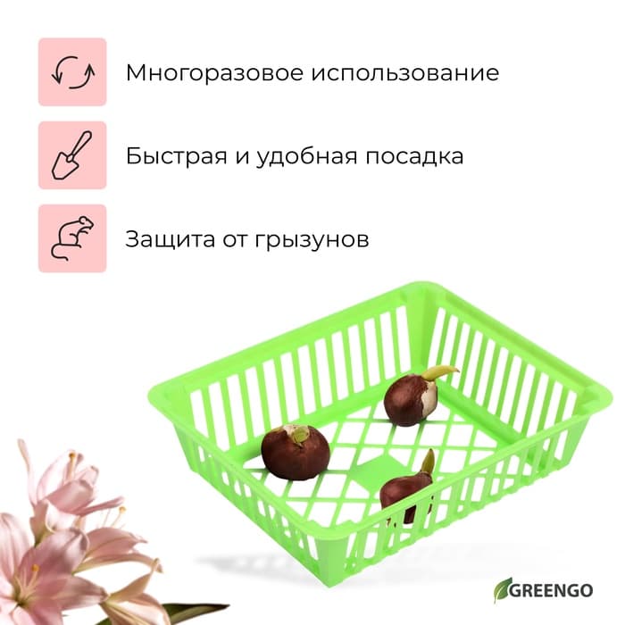 Корзина для луковичных, квадратная, 25×20 см, зелёная, Greengo