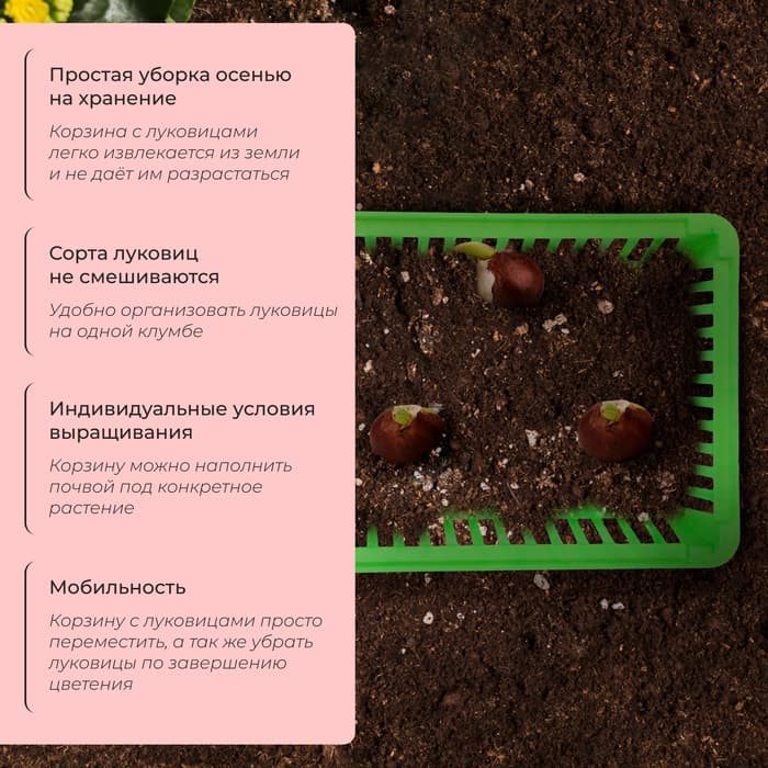 Корзина для луковичных, квадратная, 25×20 см, зелёная, Greengo