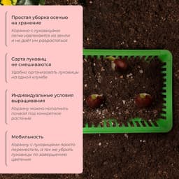 Корзина для луковичных, квадратная, 25×20 см, зелёная, Greengo