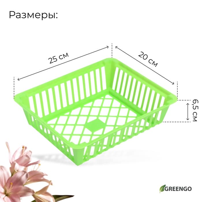Корзина для луковичных, квадратная, 25×20 см, зелёная, Greengo