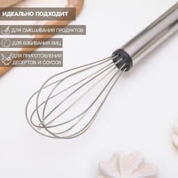 Венчик для взбивания Доляна «Помощник», 21×4.5 см, нержавеющая сталь, серебристый