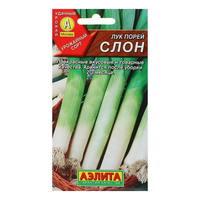 Семена Лук порей «Слон», 0.5 г