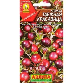Семена Клюква крупноплодная «Таёжная красавица», 0.02 г, стелющаяся, «Аэлита»