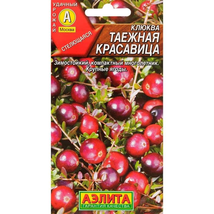 Семена Клюква крупноплодная «Таёжная красавица», 0.02 г, стелющаяся, «Аэлита»