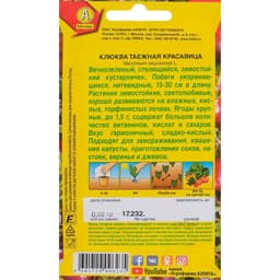 Семена Клюква крупноплодная «Таёжная красавица», 0.02 г, стелющаяся, «Аэлита»